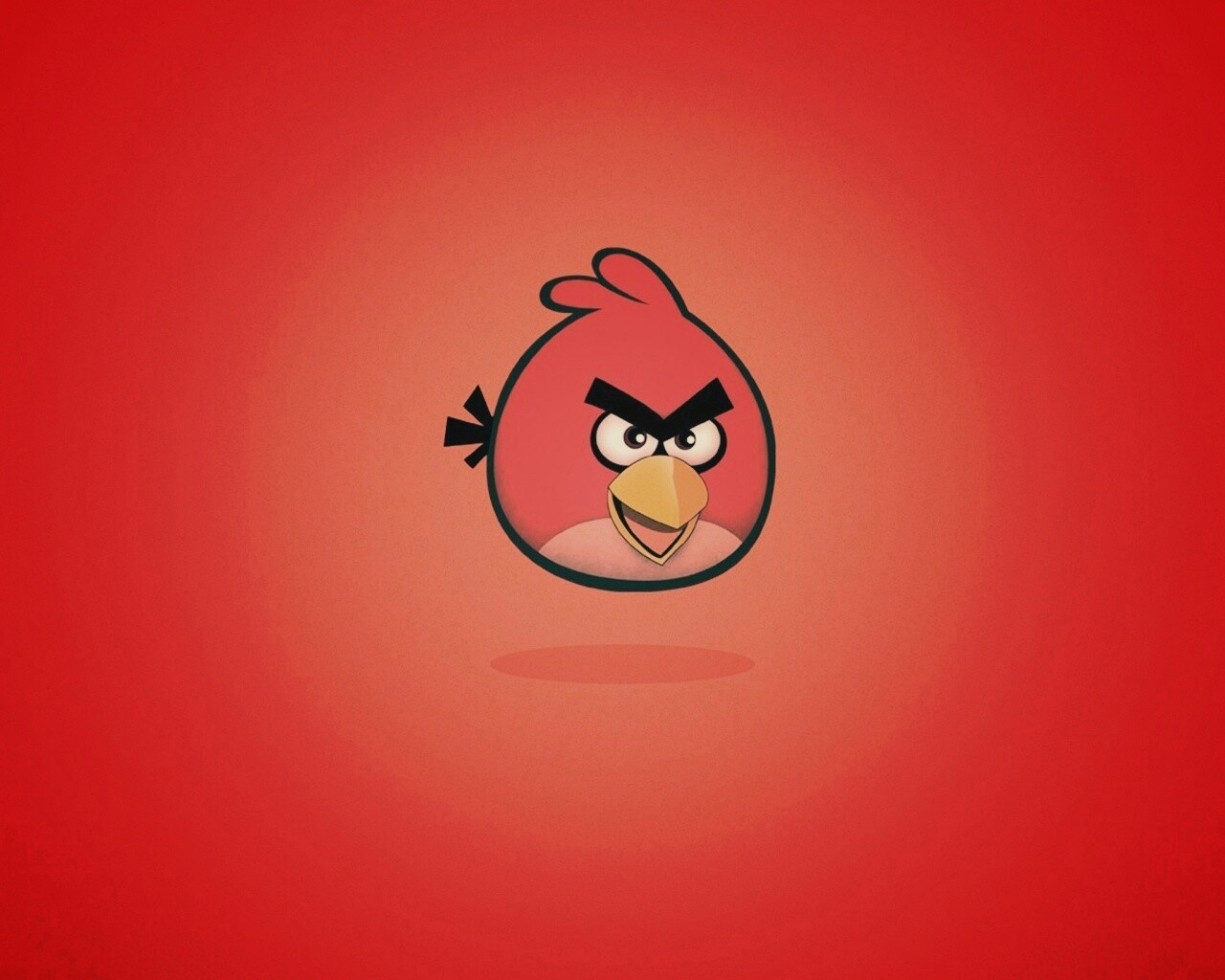 Красная птица из Angry Birds обои