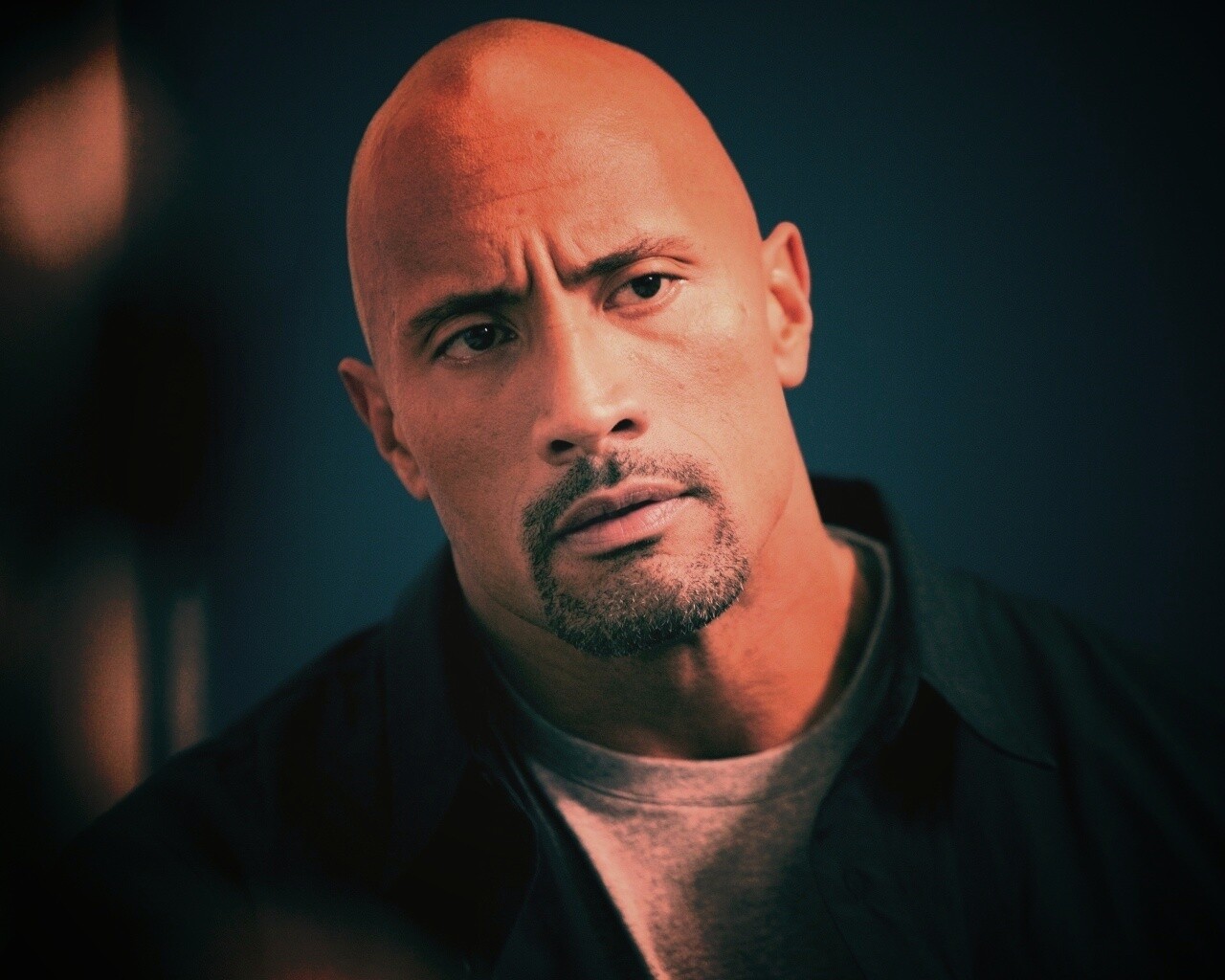 Dwayne johnson, Actor, Bald, Hair, Celebrity обои