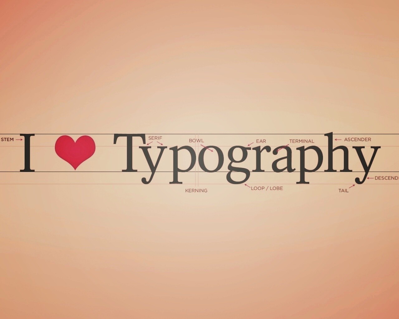 I love typography обои