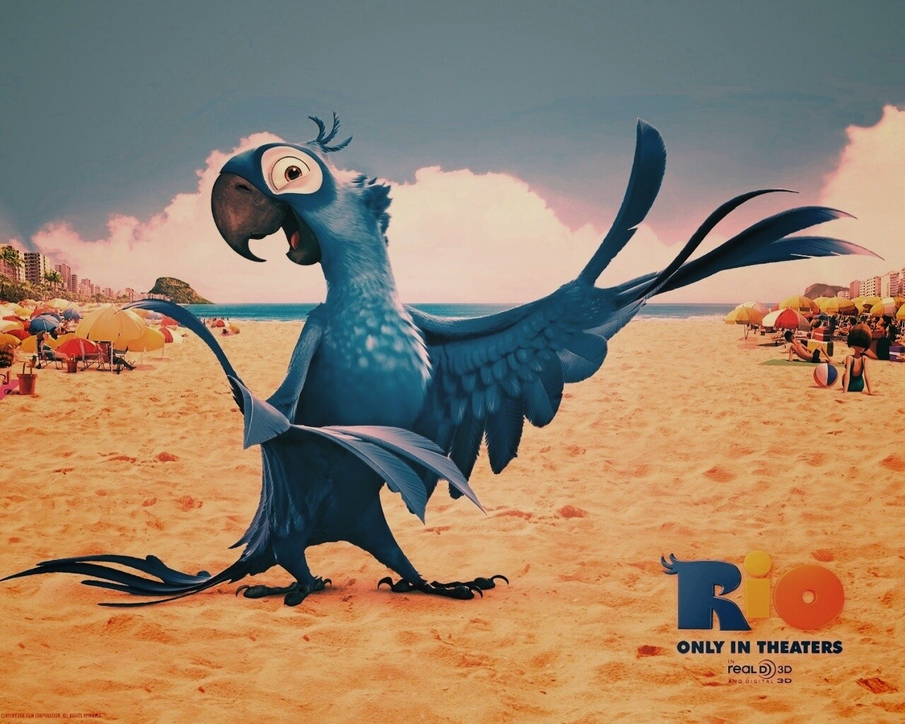 Blu из Rio обои