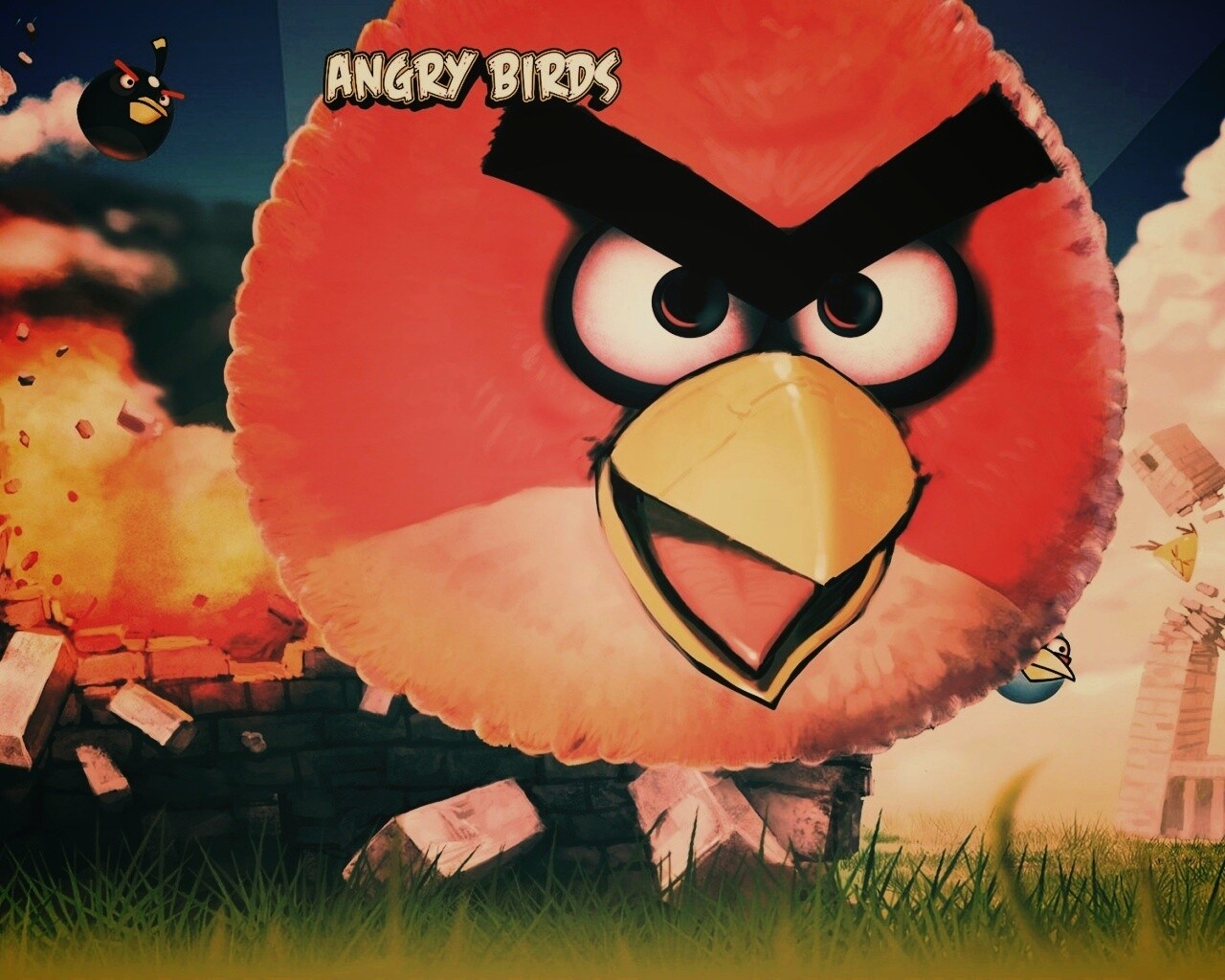 Angry Birds обои