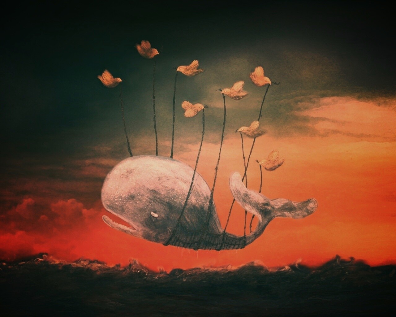 Twitter Fail-Whale обои