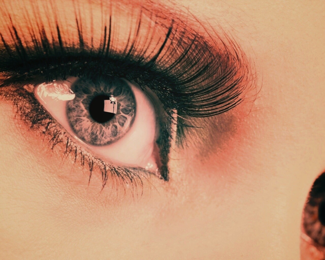 Глаза цвета стали обои