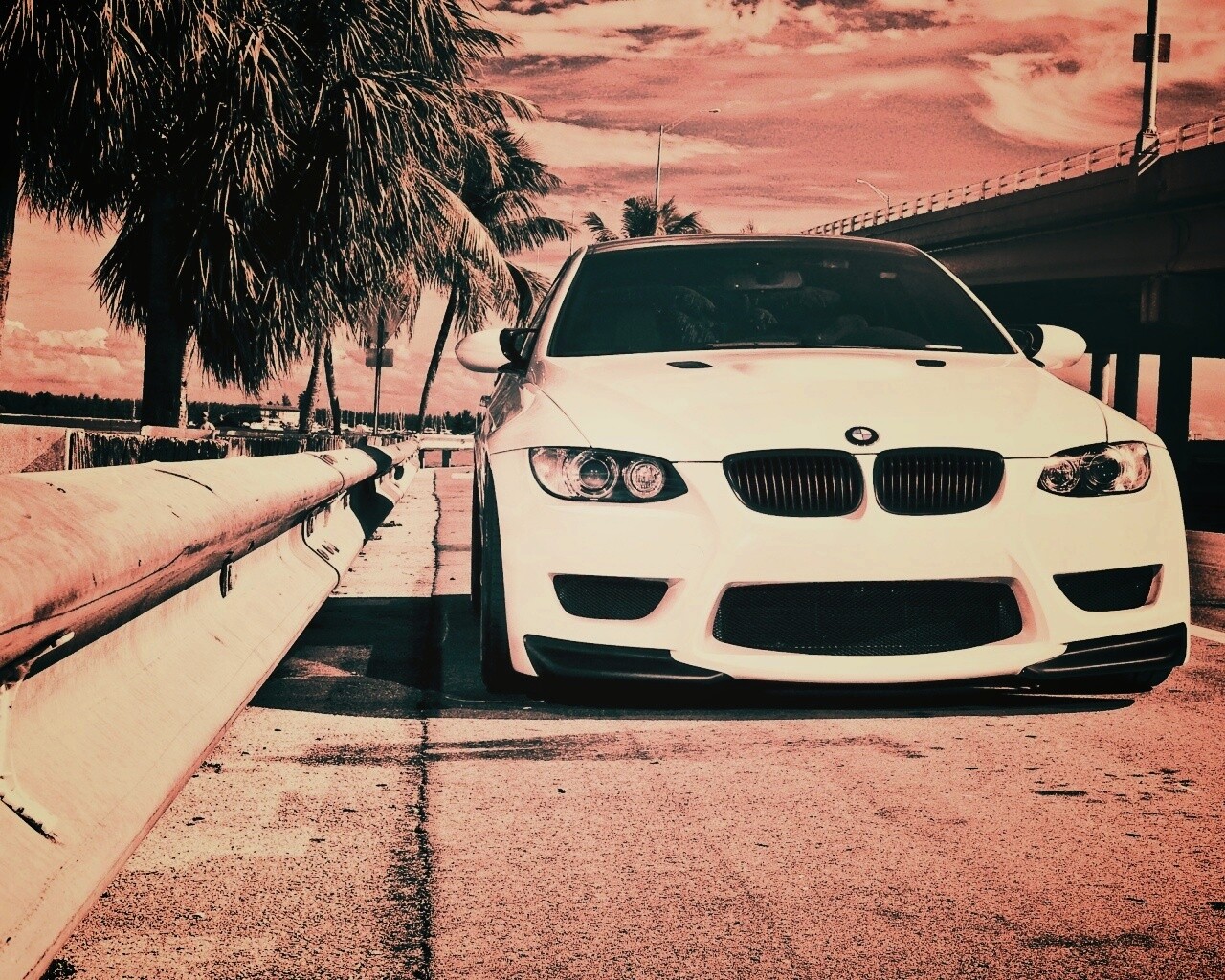 BMW в тропиках обои