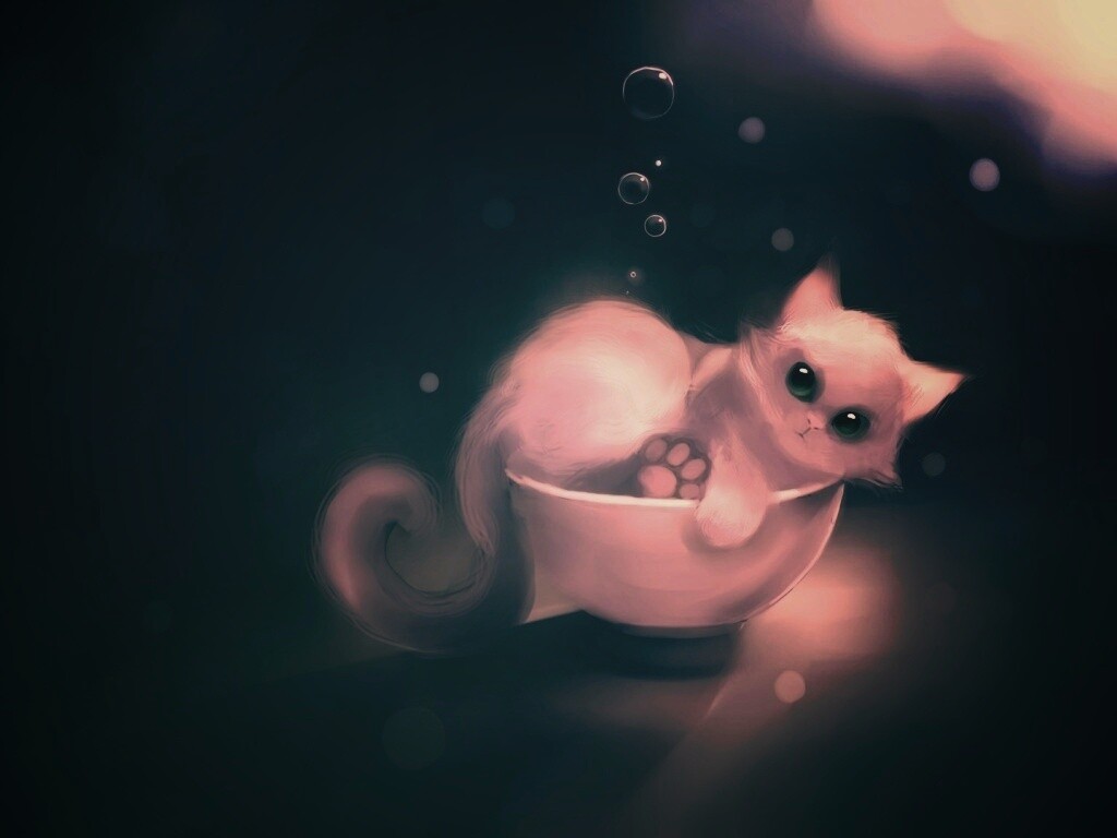 Котёнок в миске обои