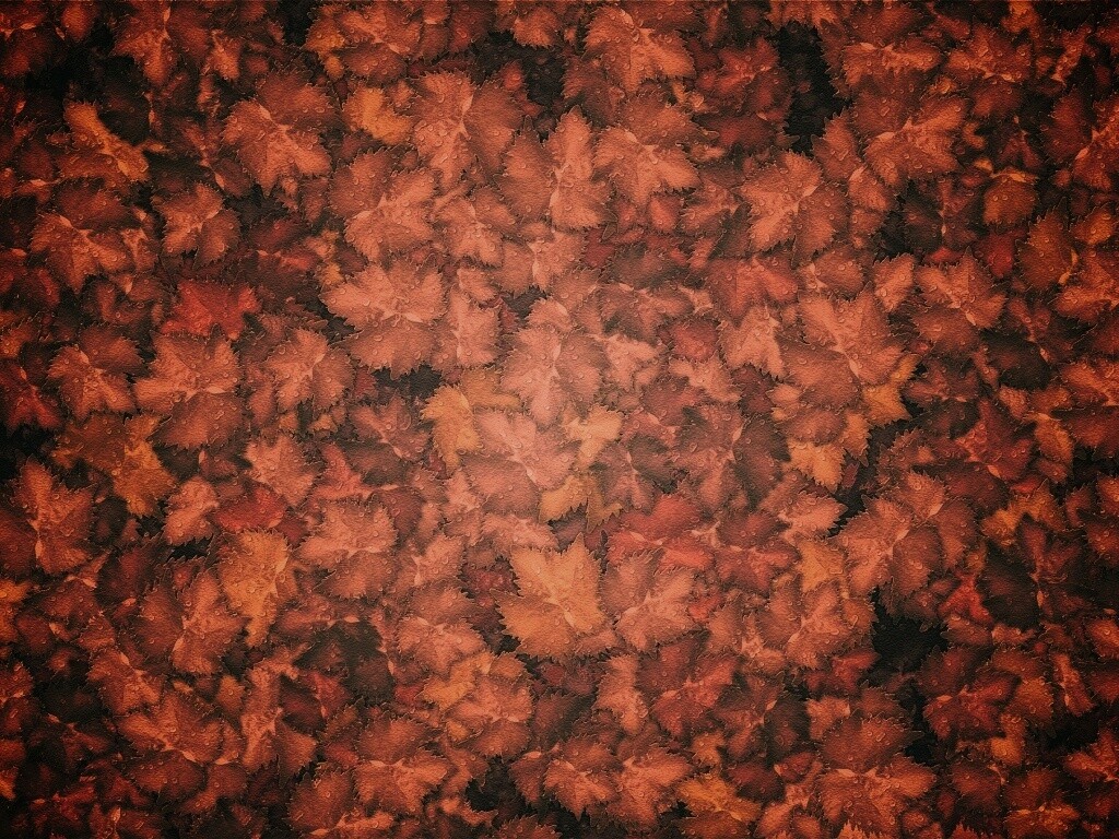 Осенние листья обои