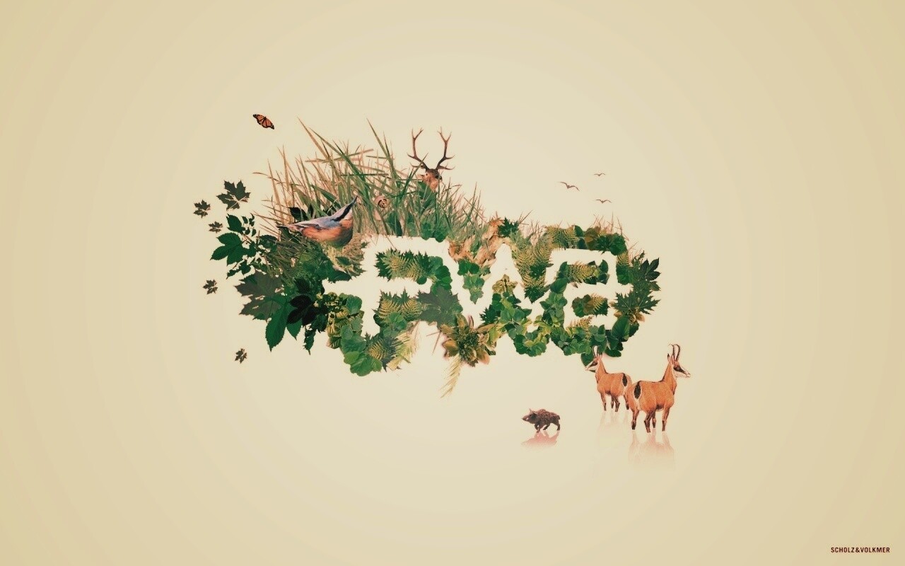 FWA обои