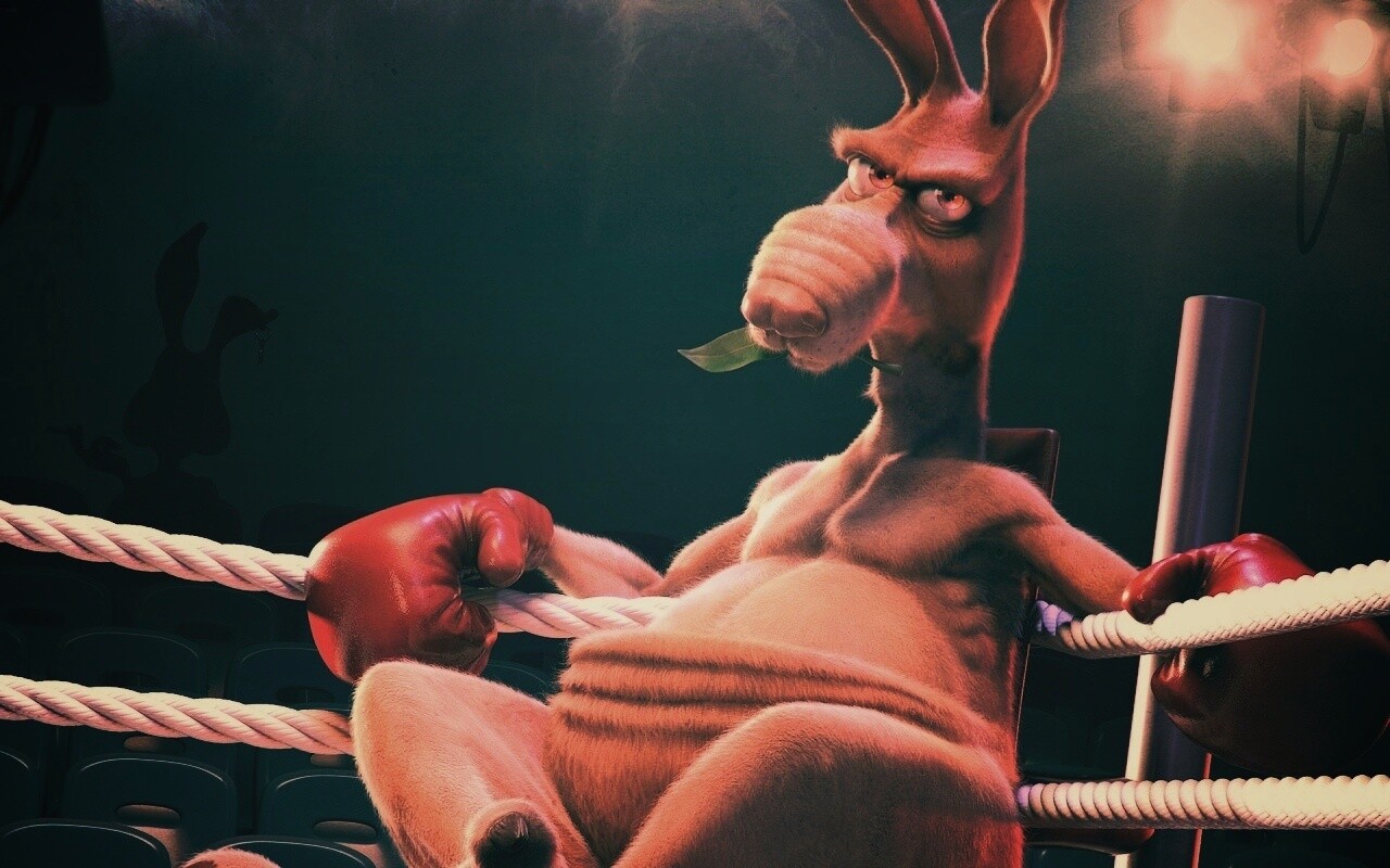 Кенгуру-боксер на ринге обои