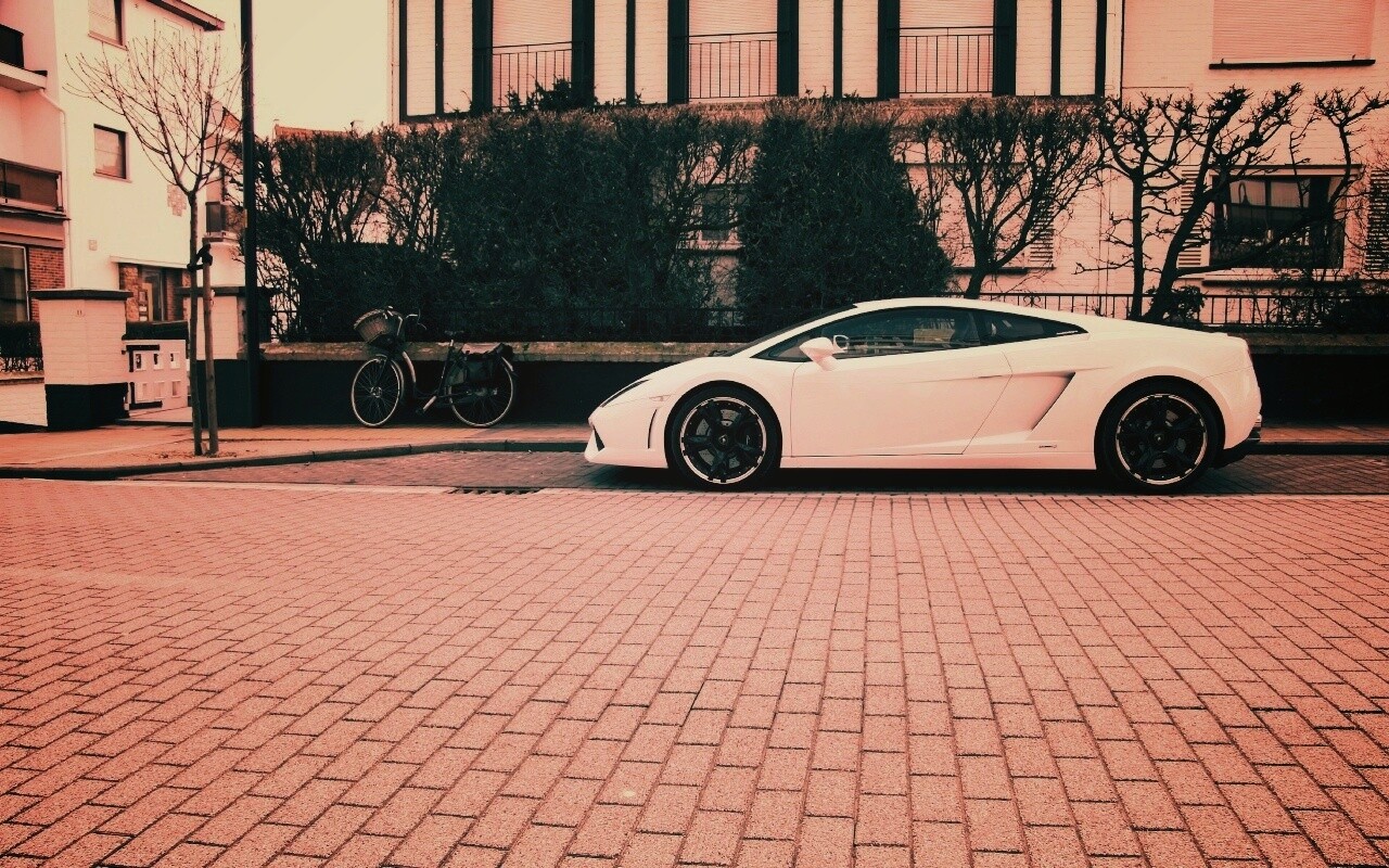 Белый Lamborghini обои