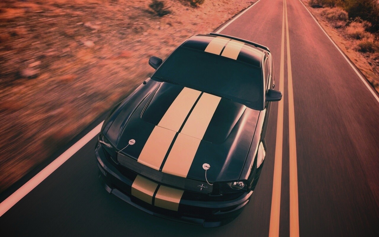 Ford Mustang  с гоночными полосками обои