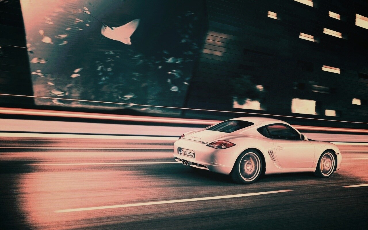 Porsche на трассе обои