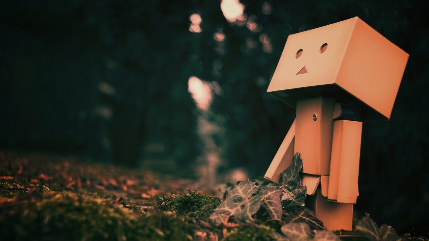 Danbo смотрит вверх обои