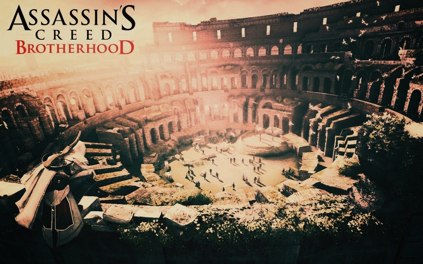 Assasin"s Creed Brotherhood обои