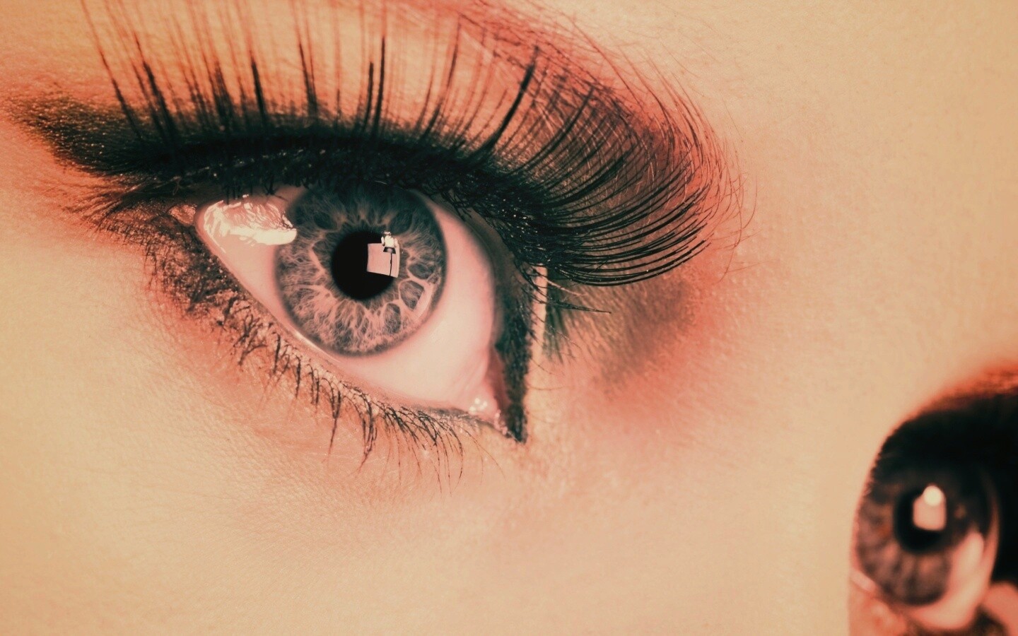 Глаза цвета стали обои