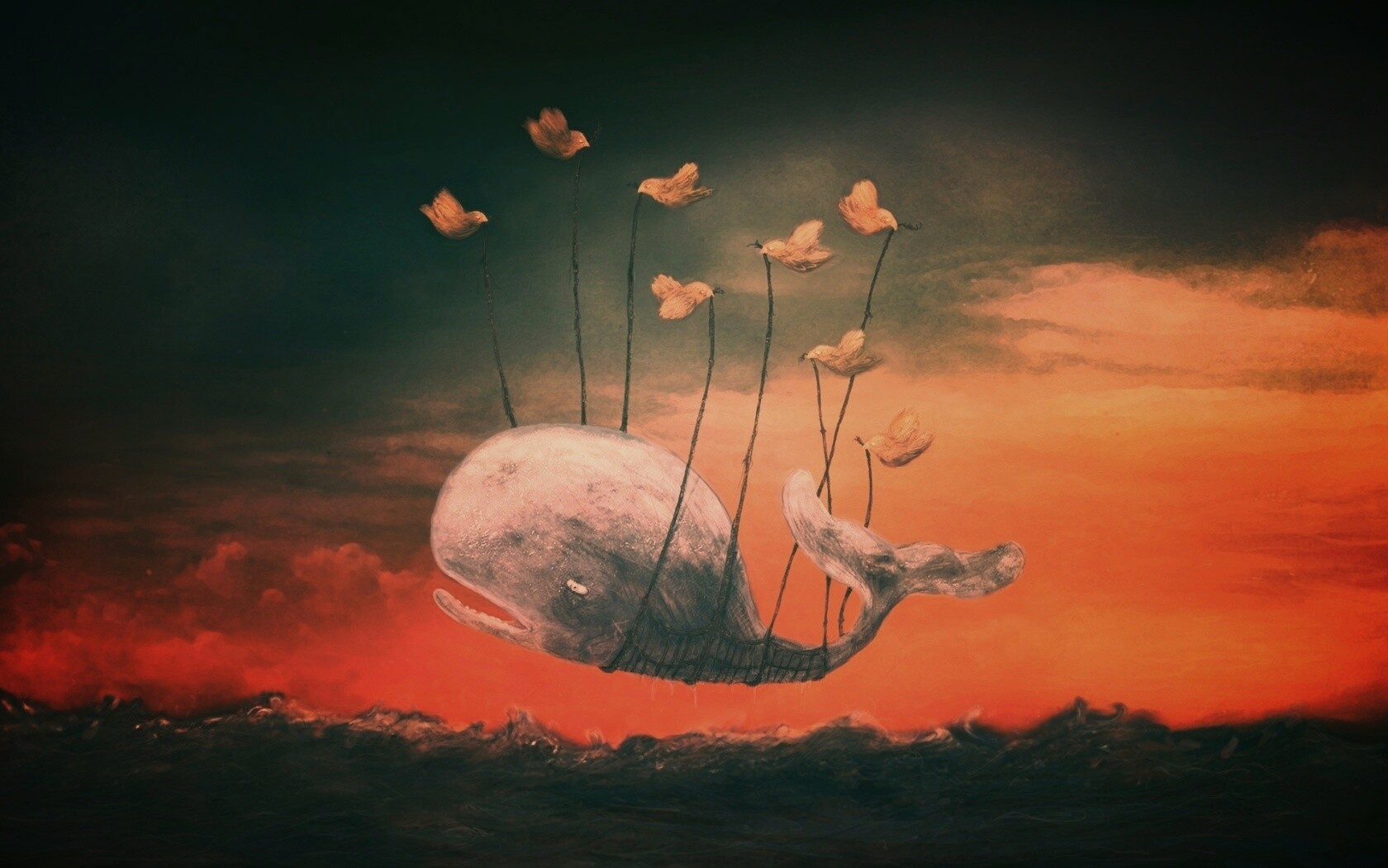 Twitter Fail-Whale обои