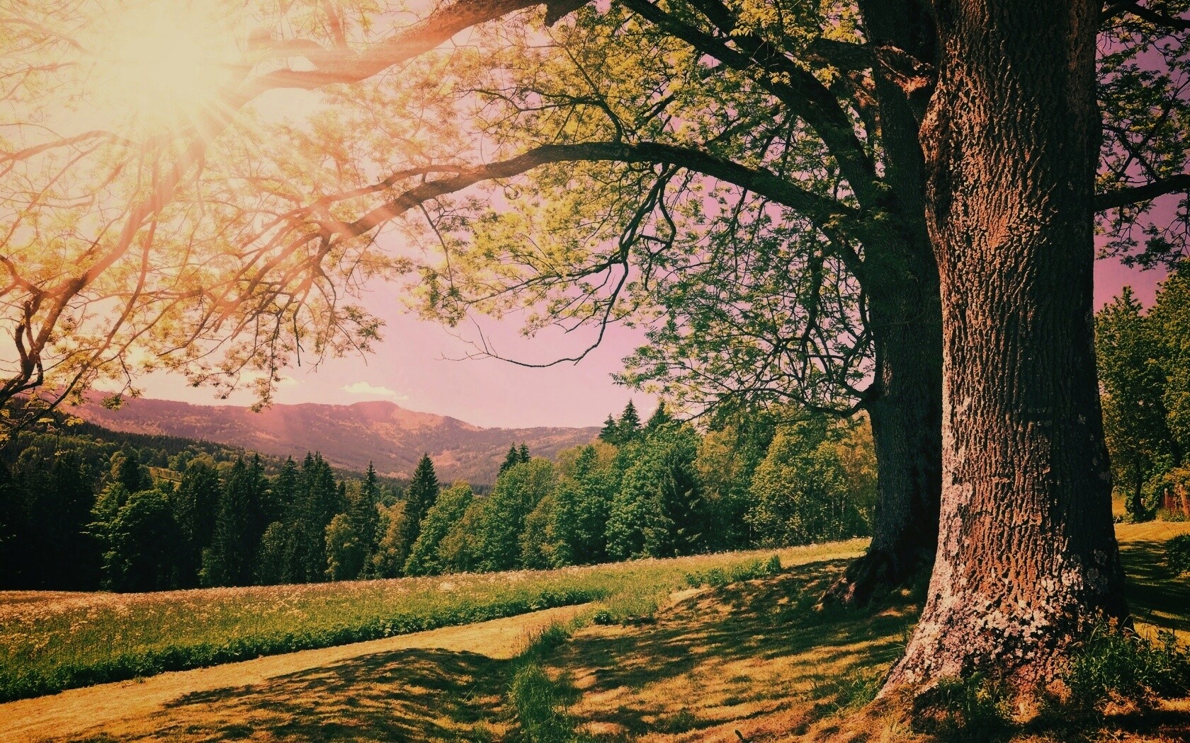 Лето в деревне обои