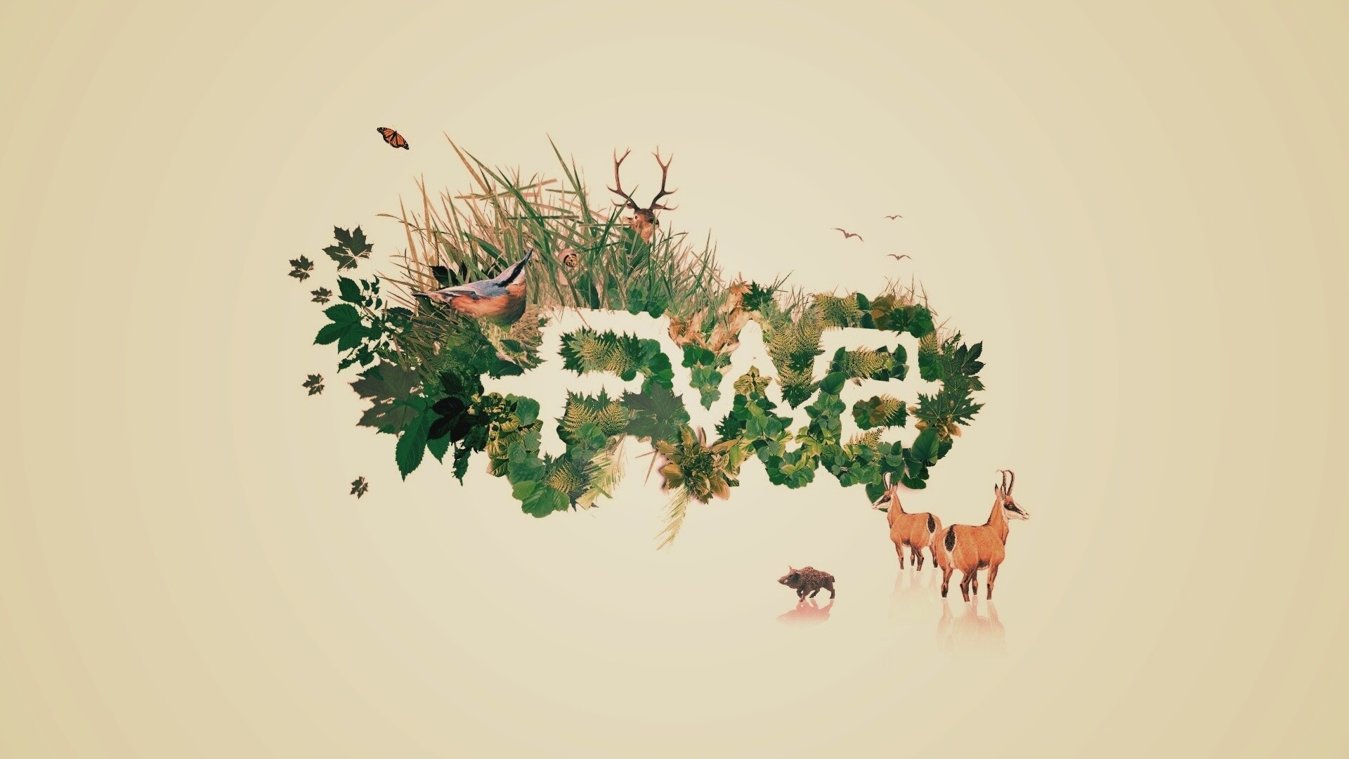 FWA обои