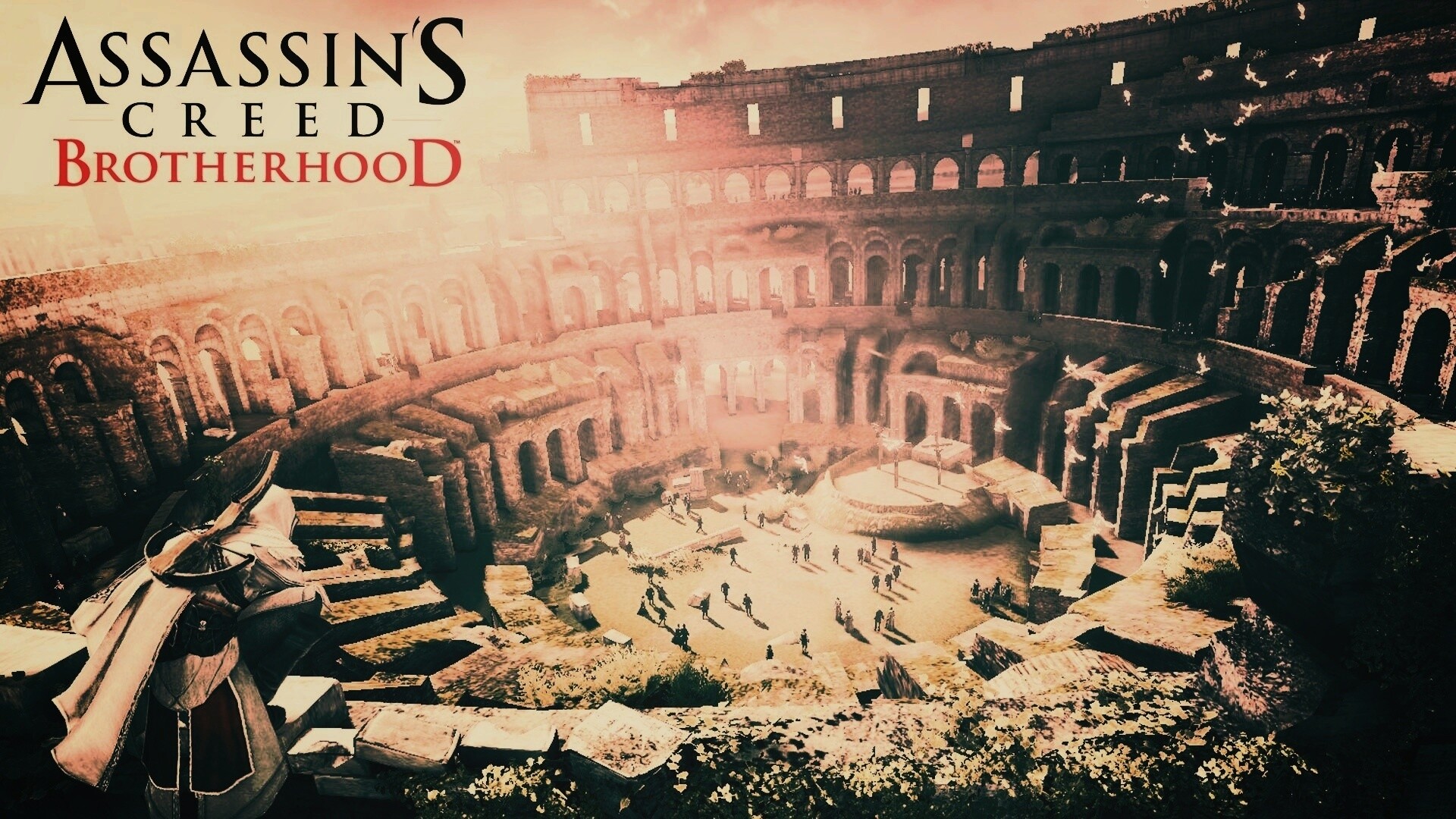 Assasin"s Creed Brotherhood обои