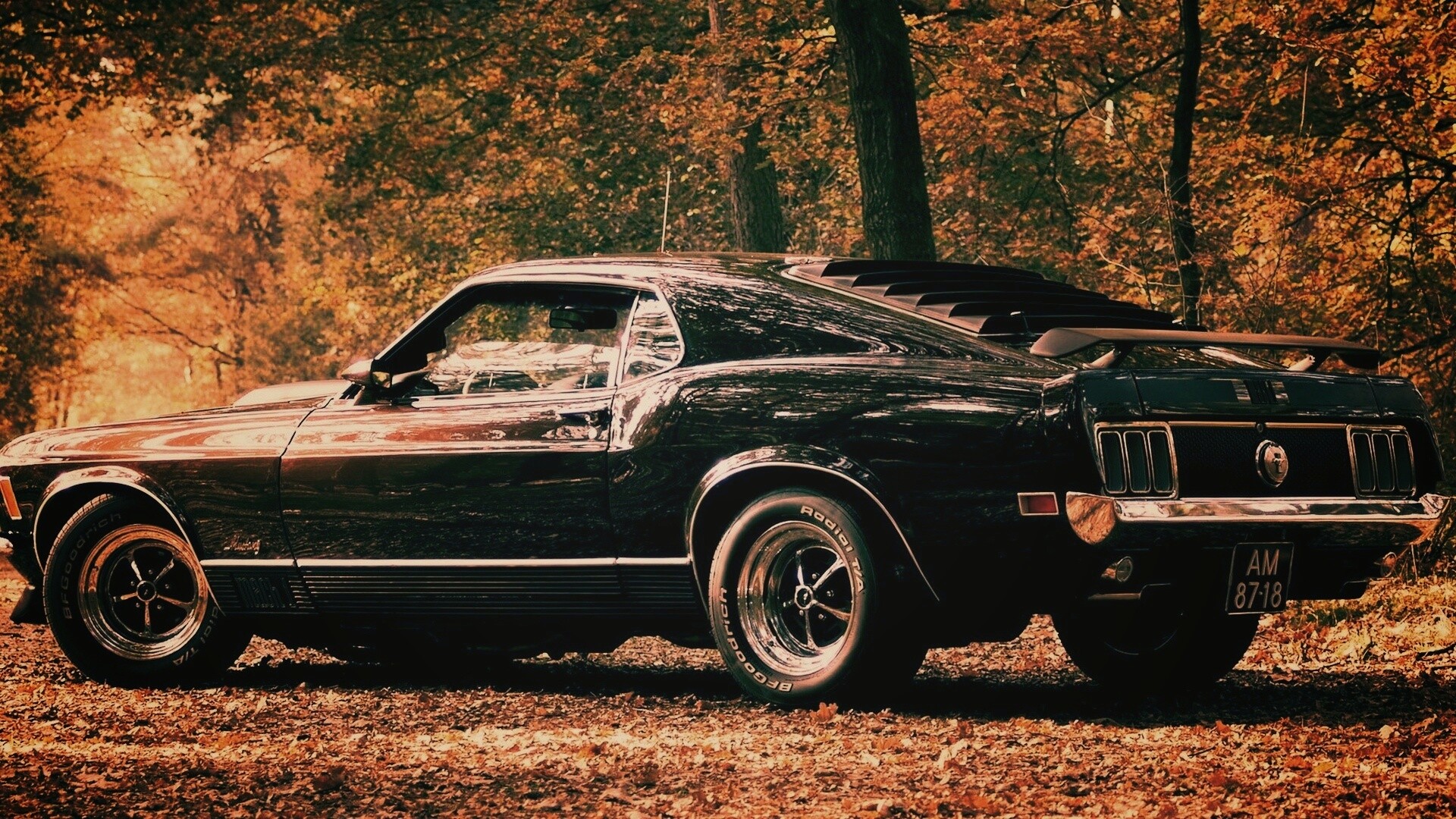 Ford обои