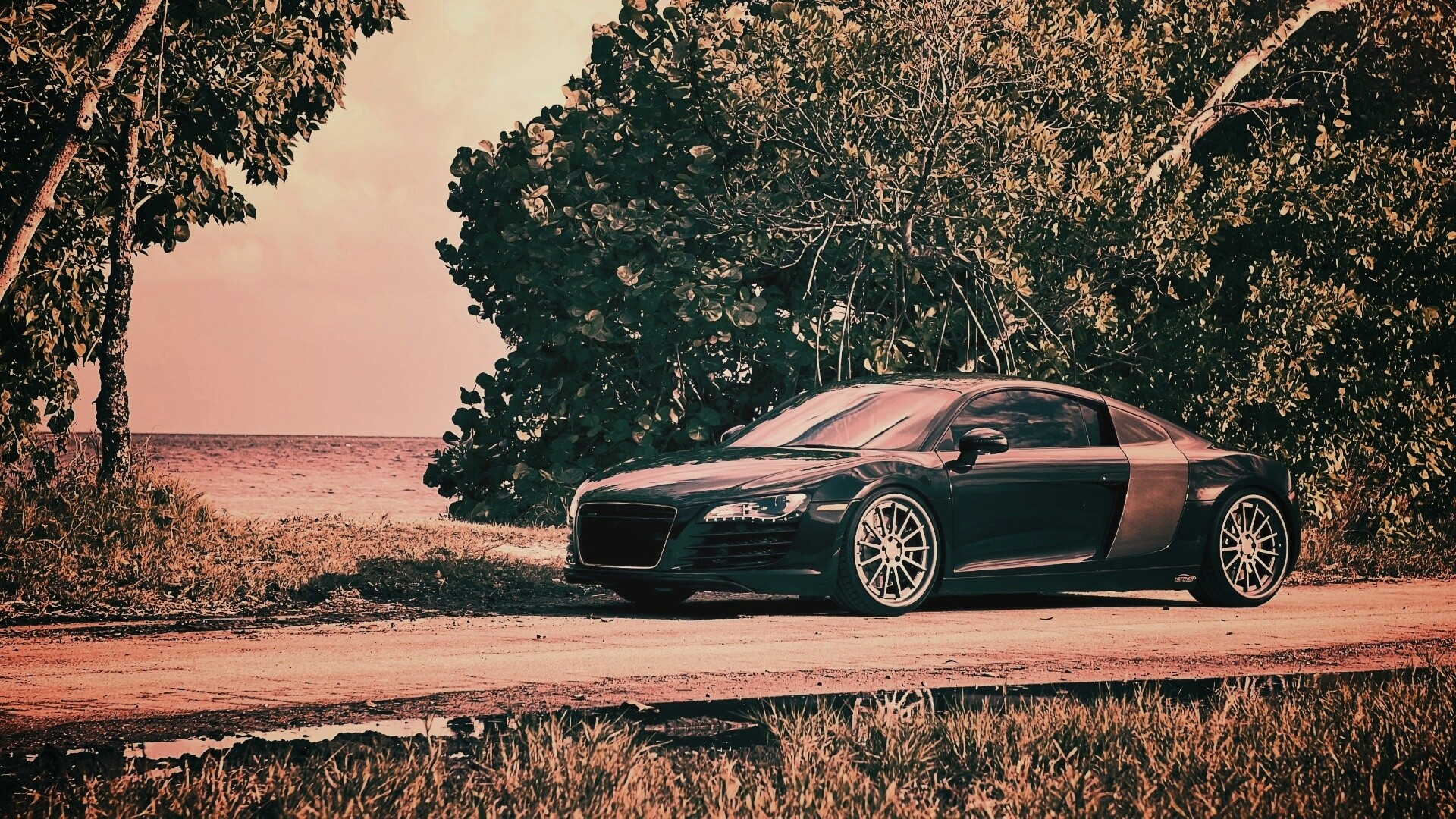 Audi R8 обои