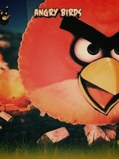 Angry Birds обои