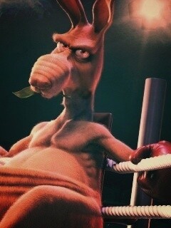 Кенгуру-боксер на ринге обои