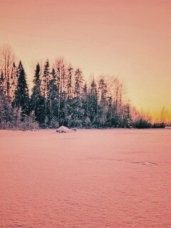 Зимний закат обои