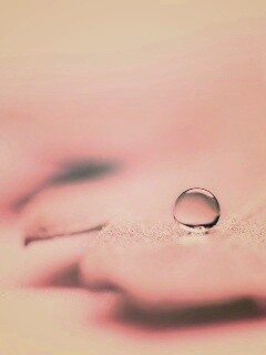 Капля на замёрзжем листе обои