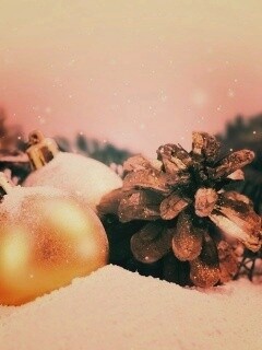 Новогодний натюрморт обои