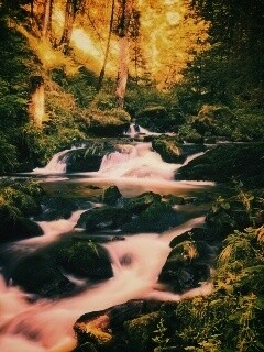 Живописный лесной водопад обои