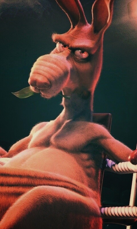 Кенгуру-боксер на ринге обои