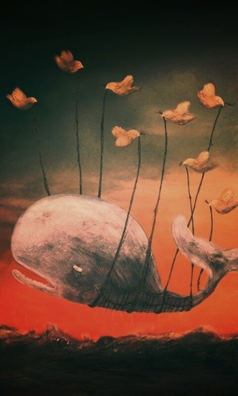 Twitter Fail-Whale обои