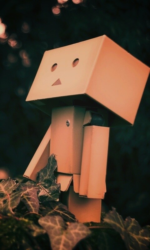 Danbo смотрит вверх обои