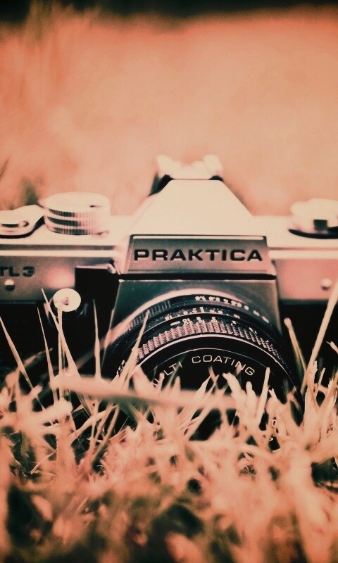 Фотоаппарат Praktica в траве обои