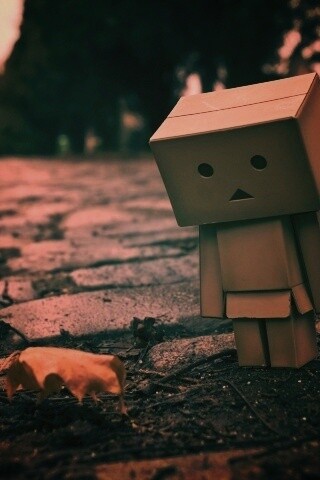 Danbo и первый осенний лист обои