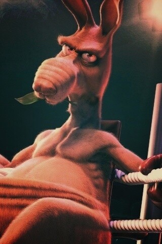 Кенгуру-боксер на ринге обои