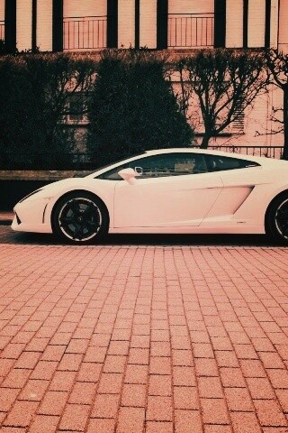 Белый Lamborghini обои