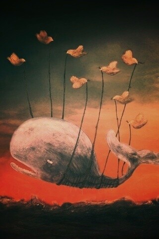 Twitter Fail-Whale обои