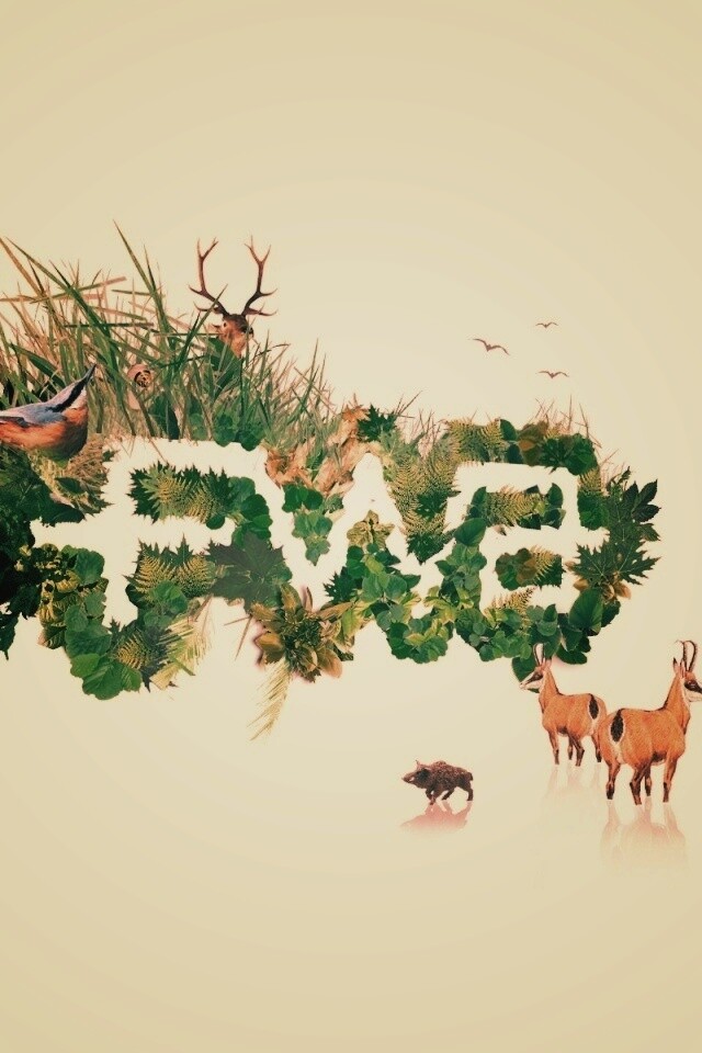 FWA обои
