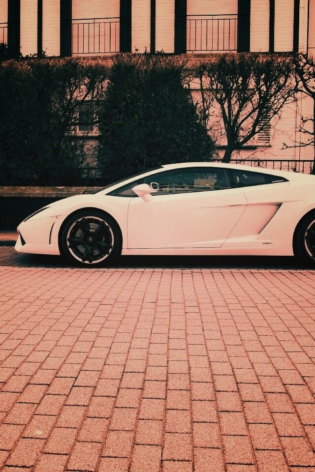 Белый Lamborghini обои