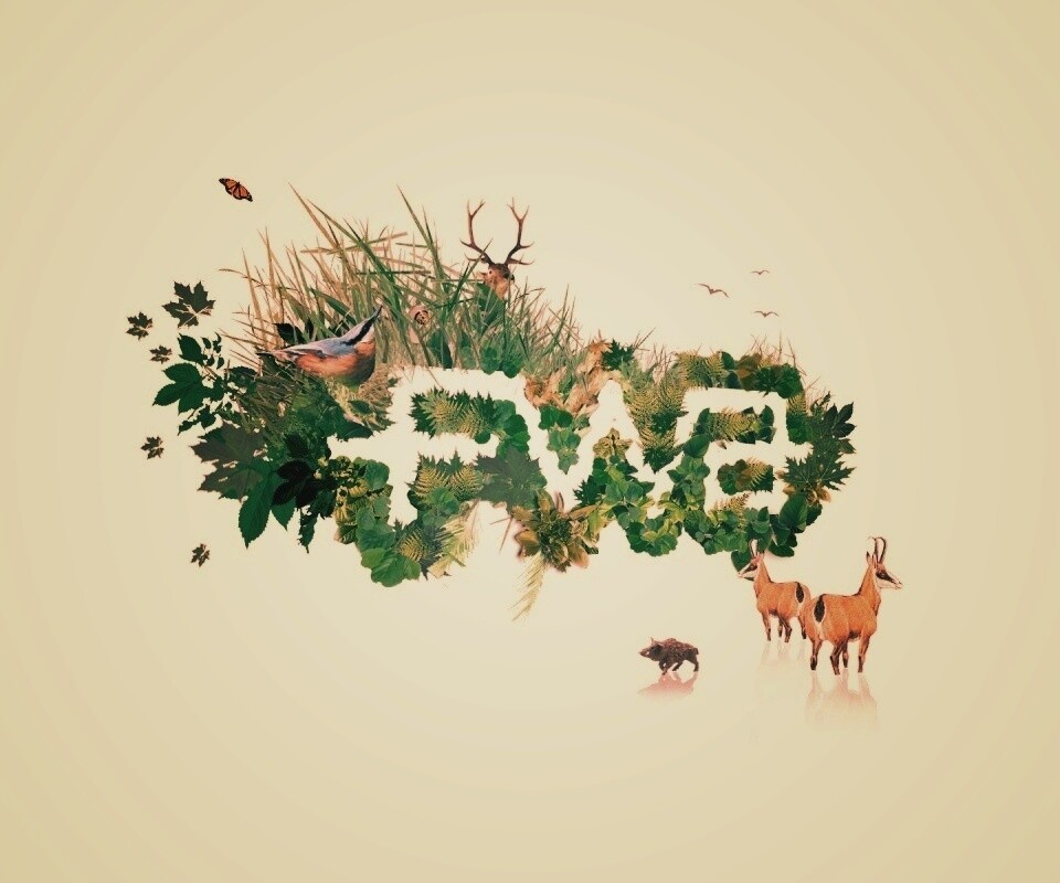 FWA обои