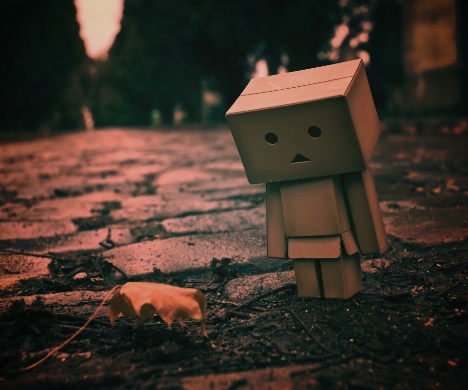 Danbo и первый осенний лист обои