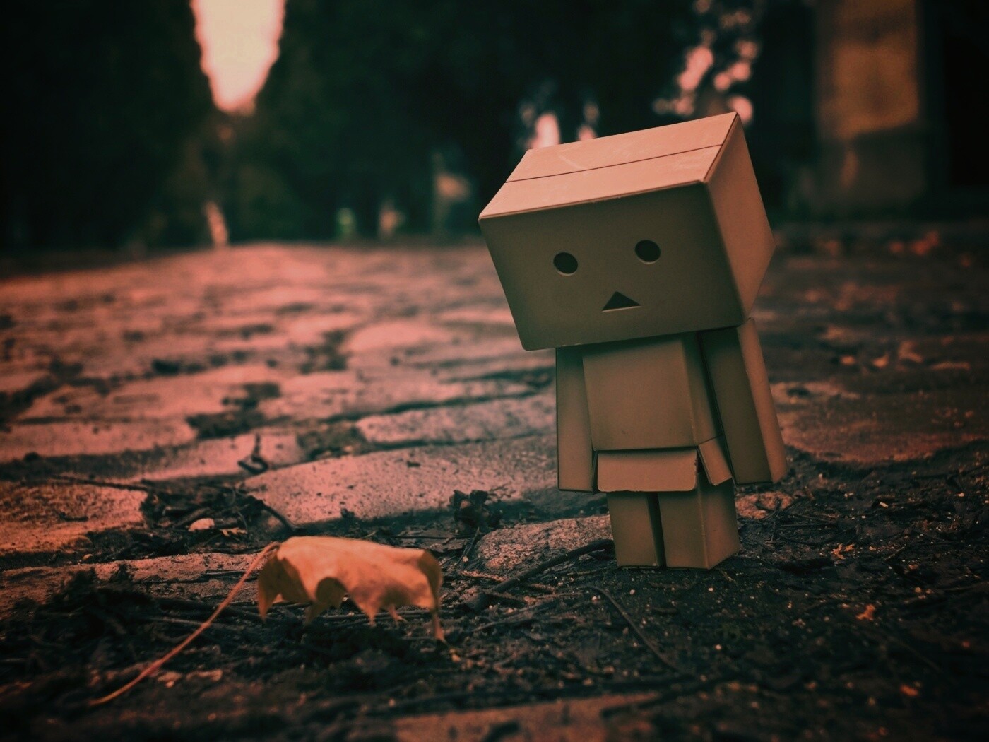 Danbo и первый осенний лист обои