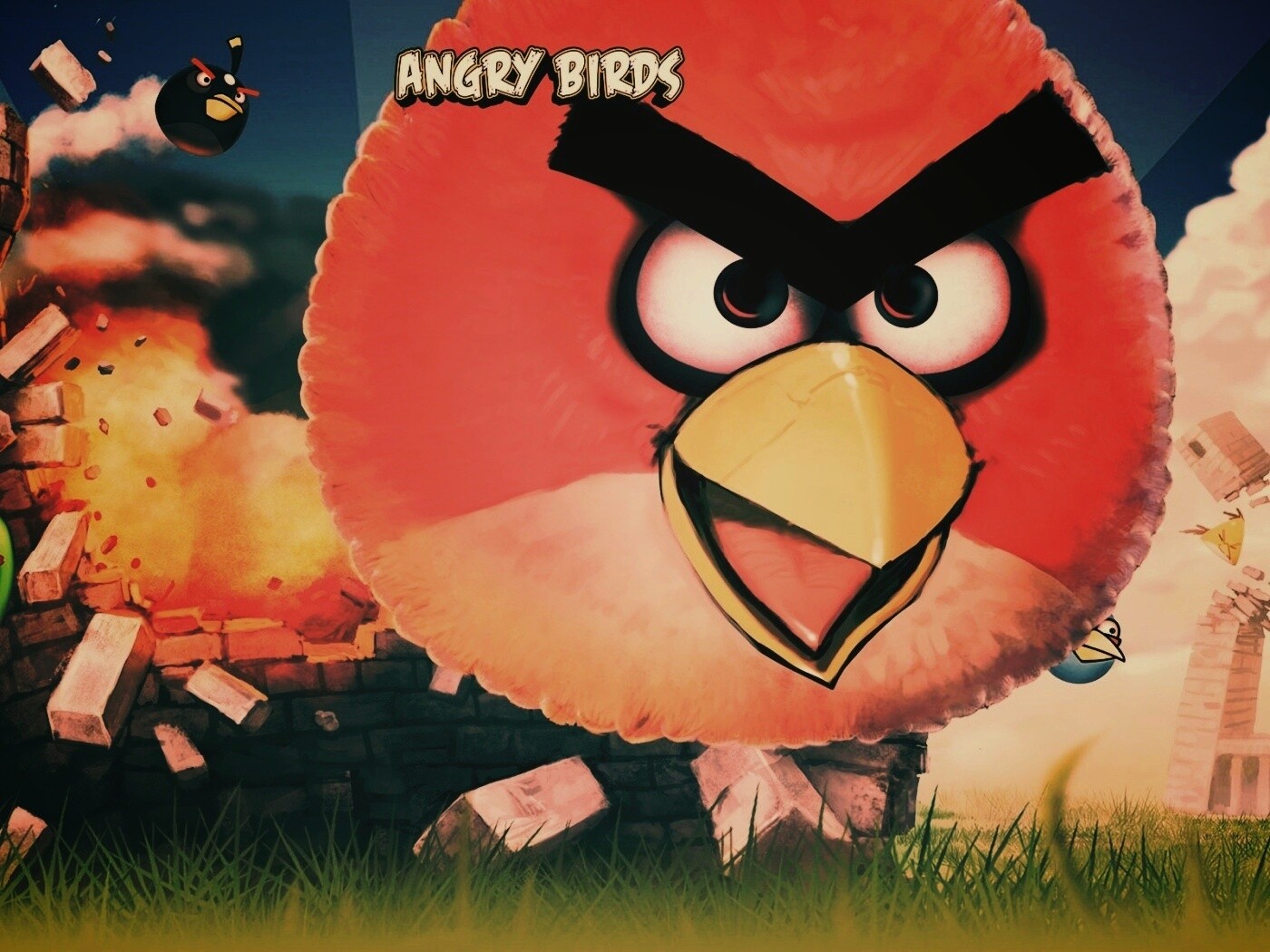 Angry Birds обои