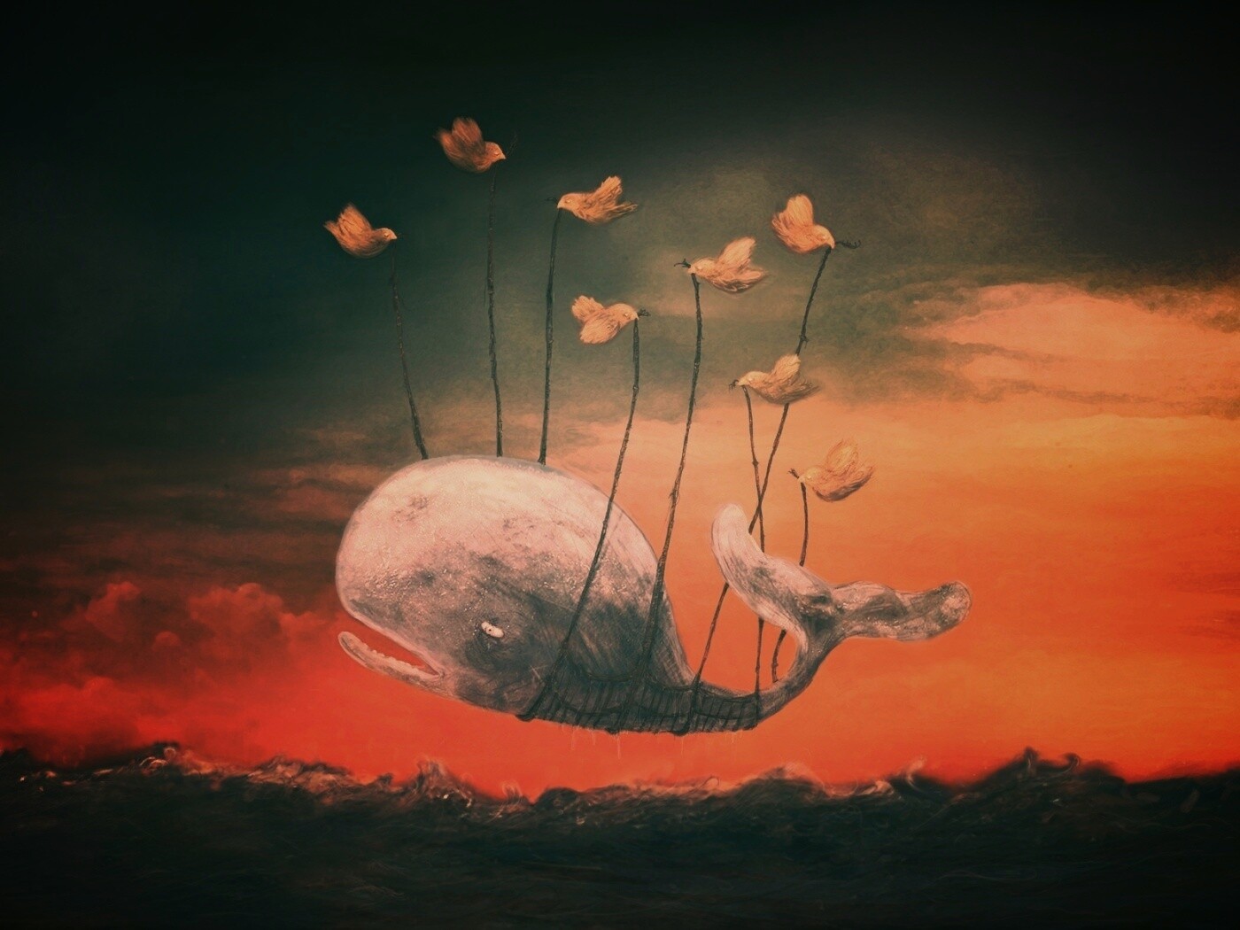 Twitter Fail-Whale обои