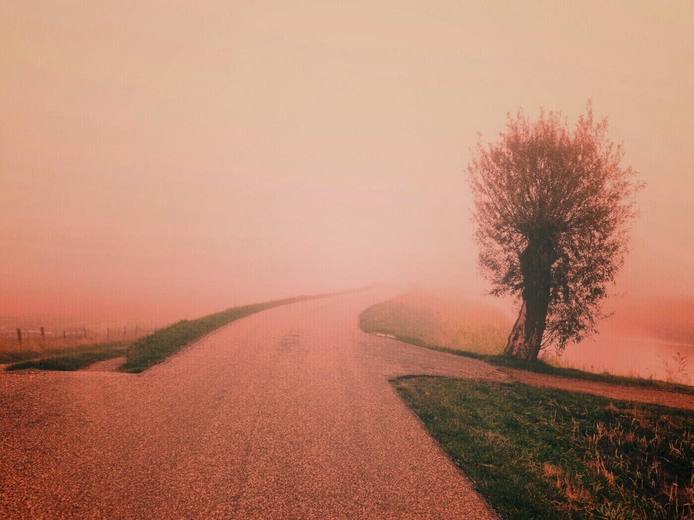 Дорога растворяется в тумане обои