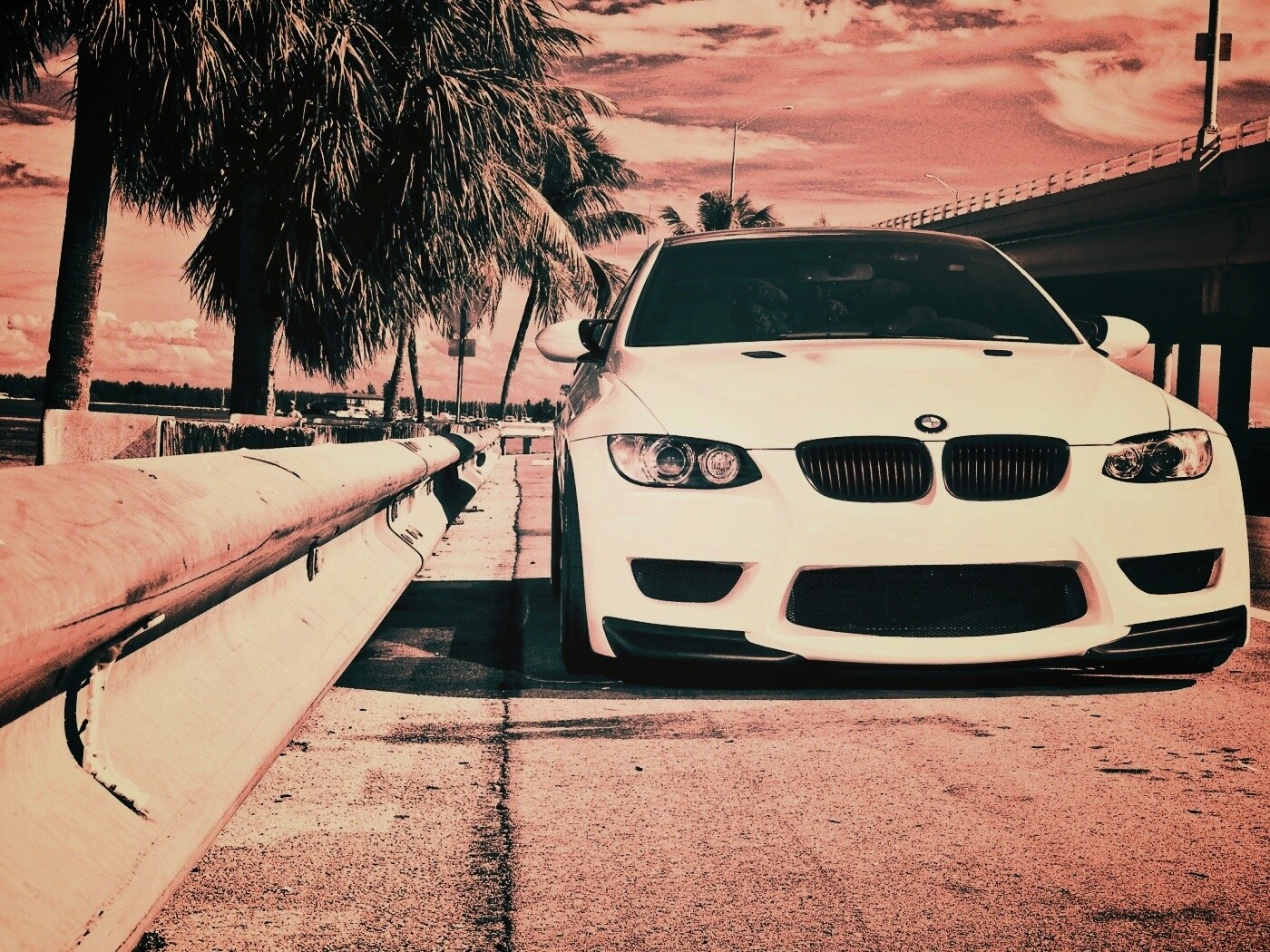 BMW в тропиках обои
