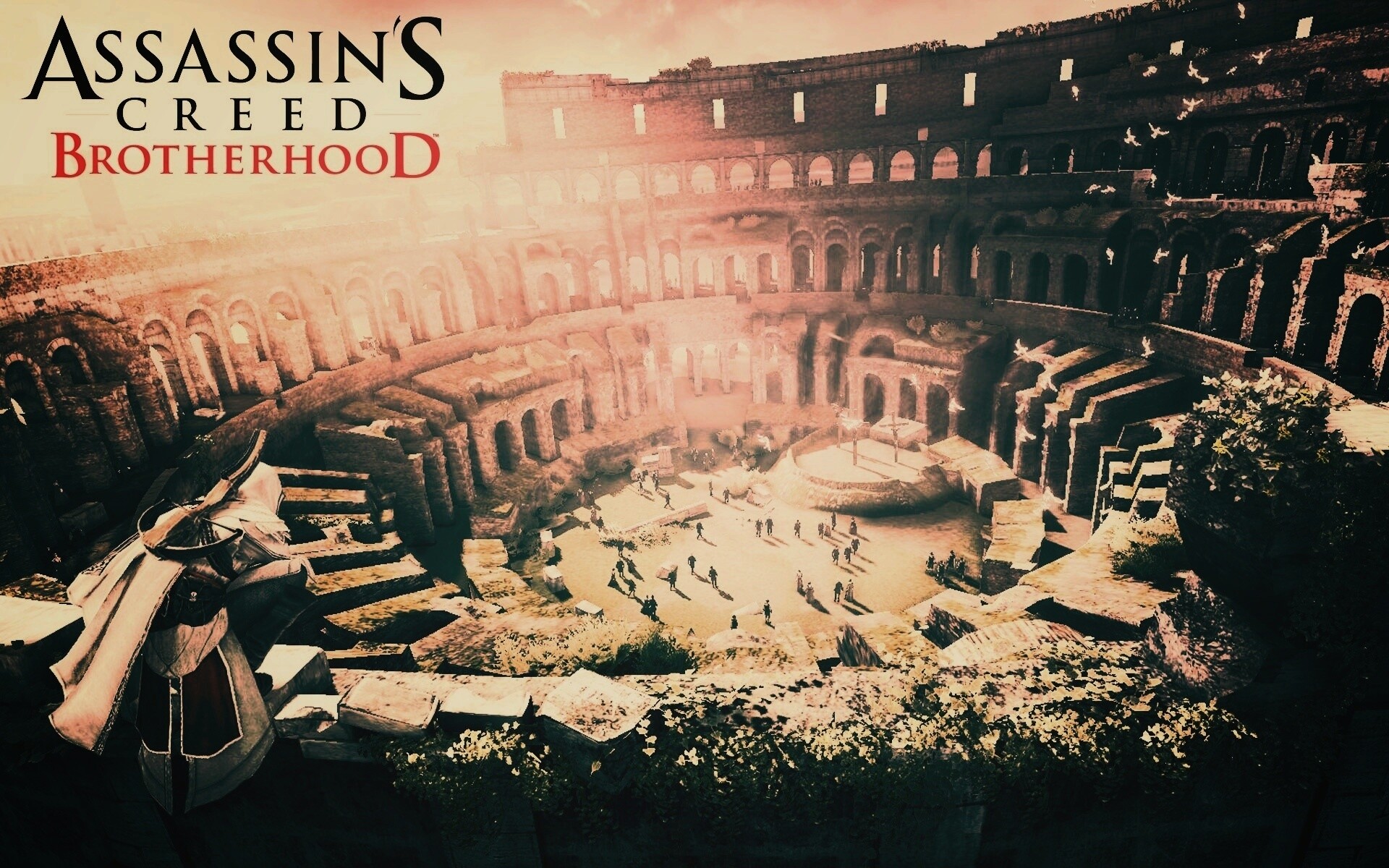 Assasin"s Creed Brotherhood обои