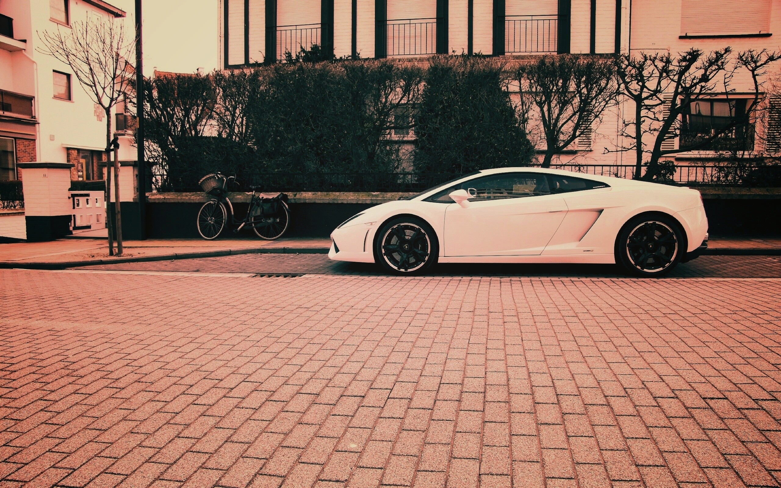 Белый Lamborghini обои