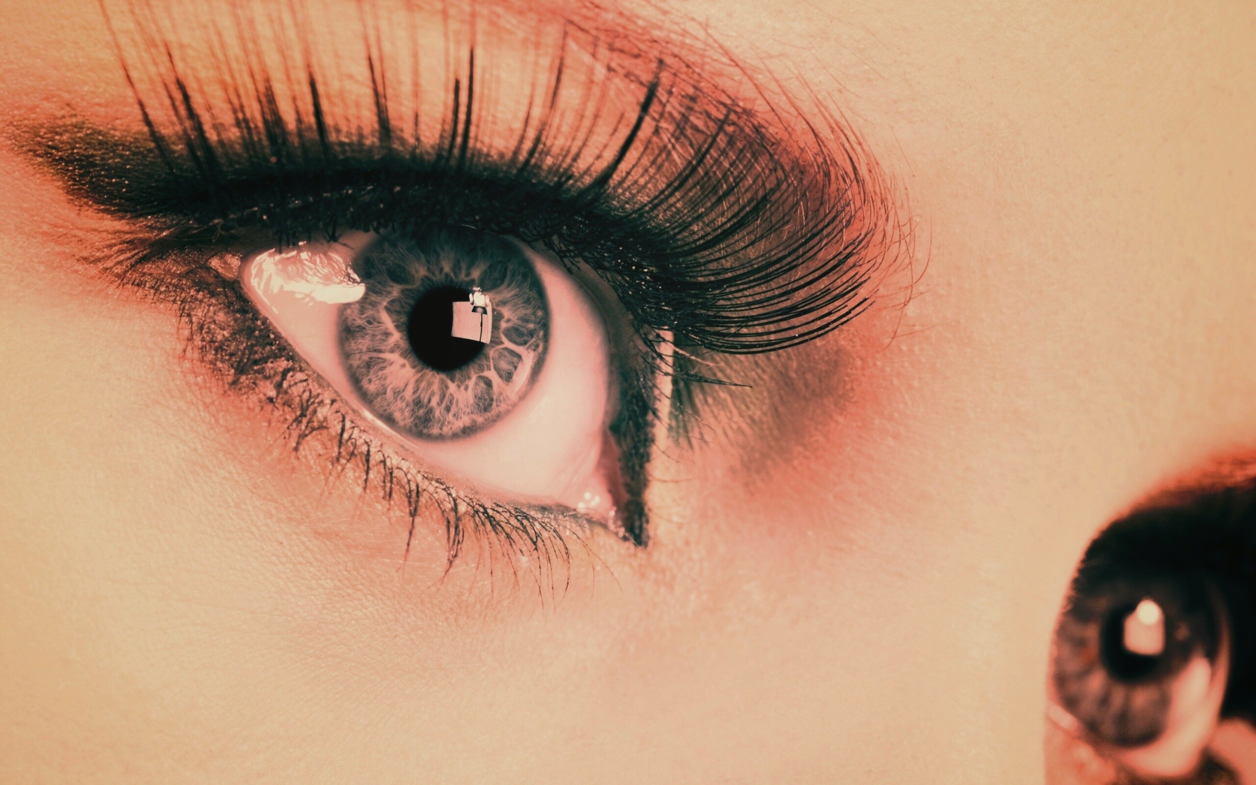 Глаза цвета стали обои